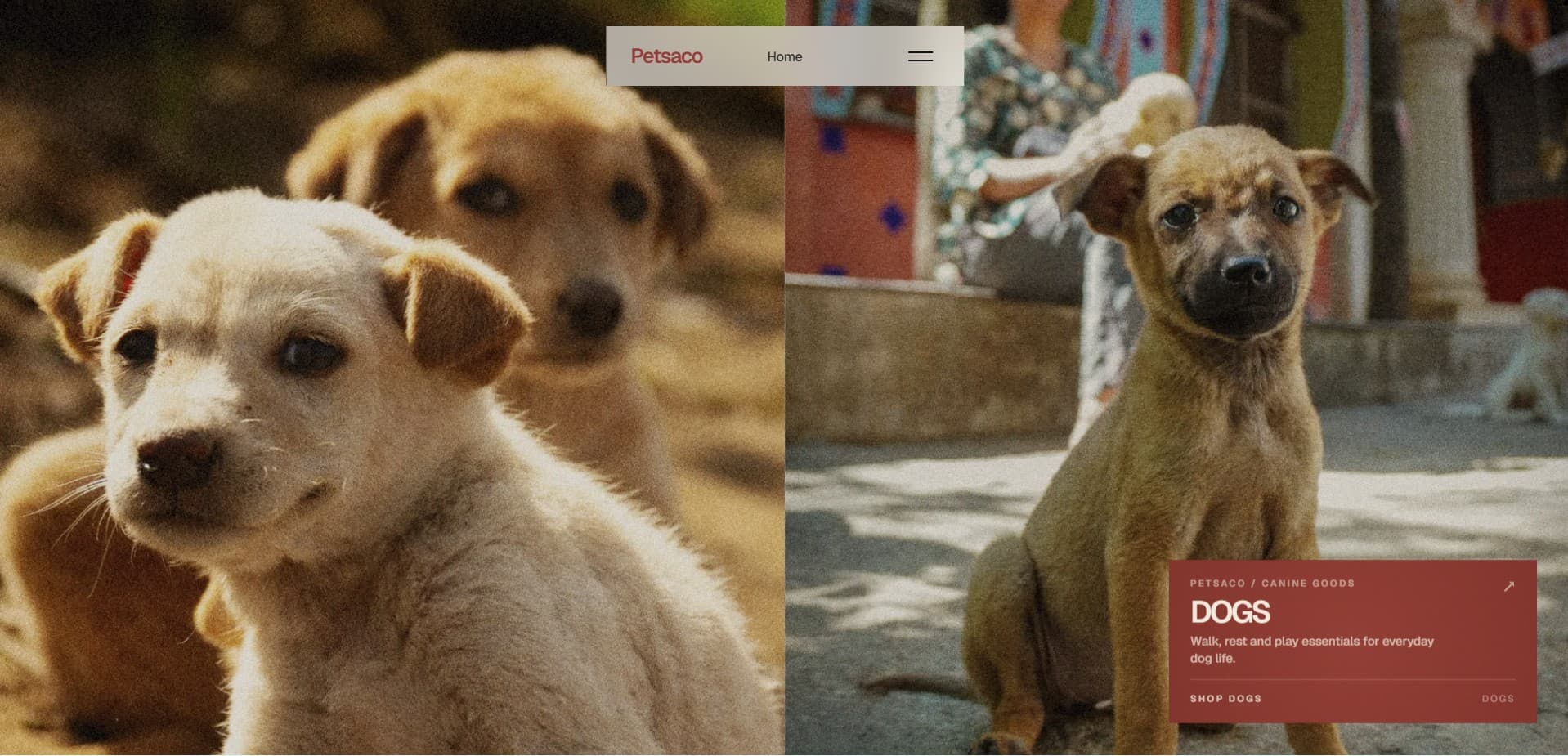 Petsaco